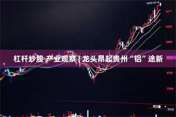 杠杆炒股 产业观察 | 龙头昂起贵州“铝”途新